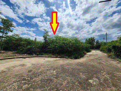 ที่ดินหลุดจำนอง ธ.ธนาคารกรุงเทพ   